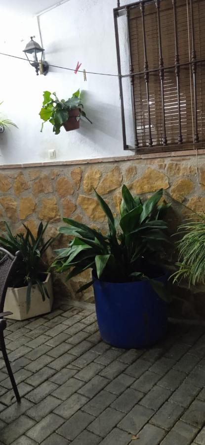 Casa Cueva El Almendro Guest House Pegalajar ภายนอก รูปภาพ