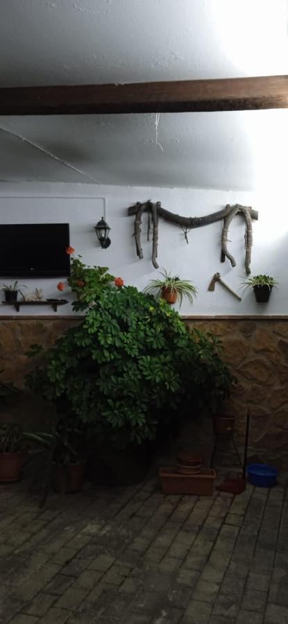 Casa Cueva El Almendro Guest House Pegalajar ภายนอก รูปภาพ
