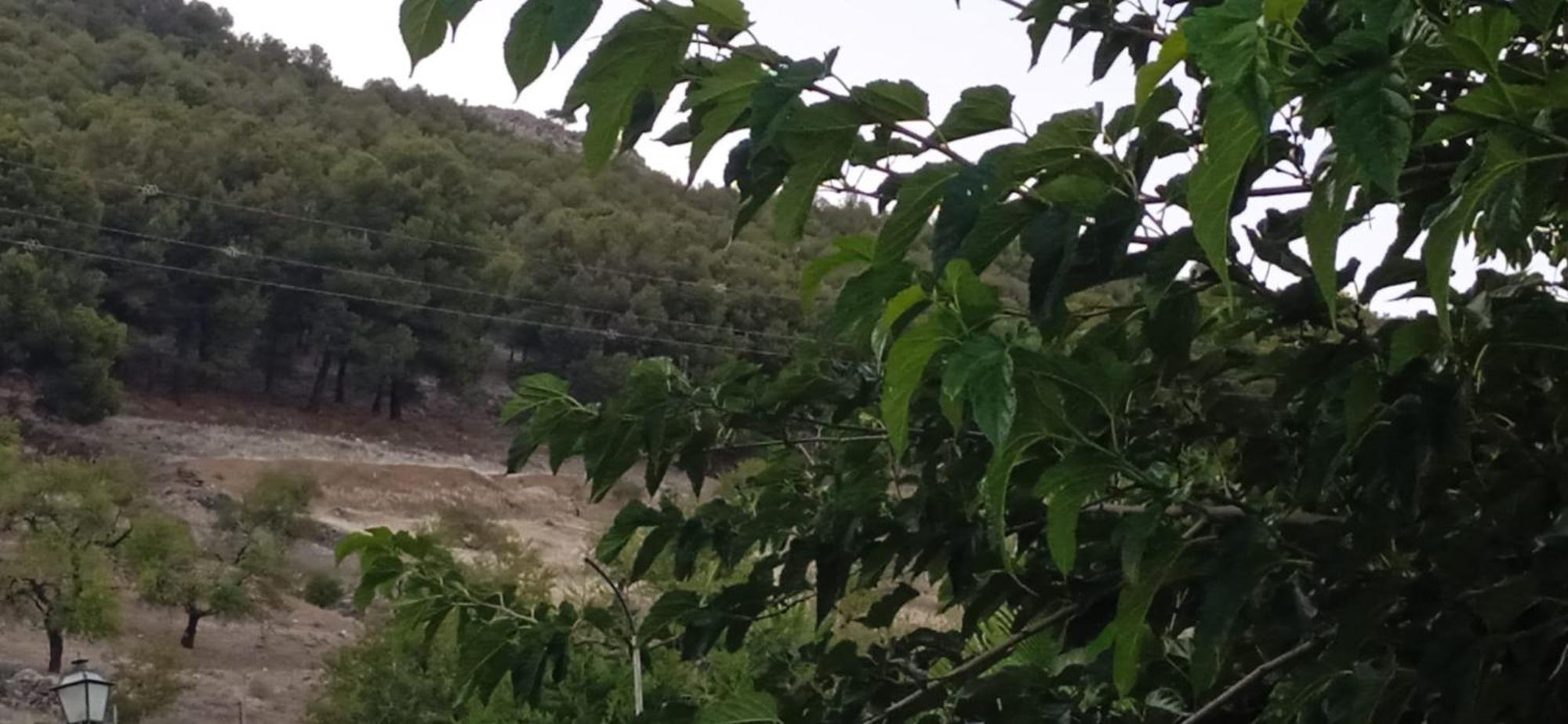 Casa Cueva El Almendro Guest House Pegalajar ภายนอก รูปภาพ